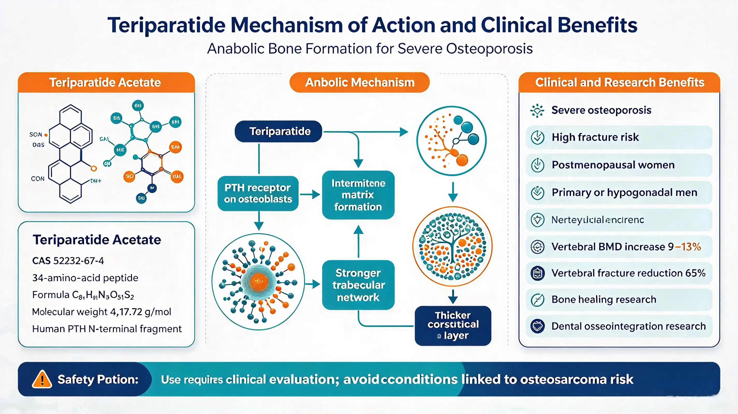 Teriparatide: Uses, Interactions, Mechanism of Action Teriparatide: Uses, Interactions, Mechanism of Action